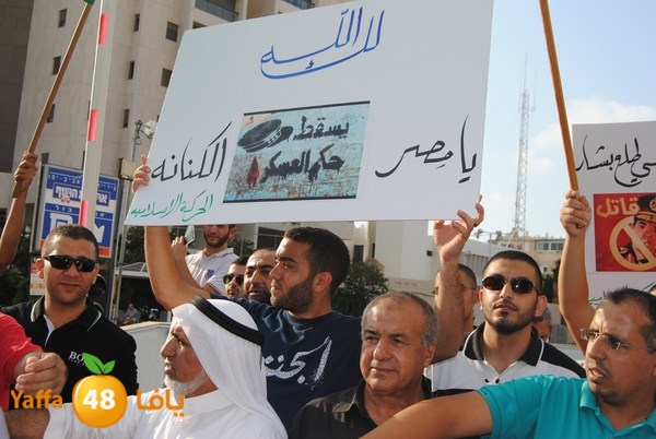 td egypt empassy 814 (26).JPG